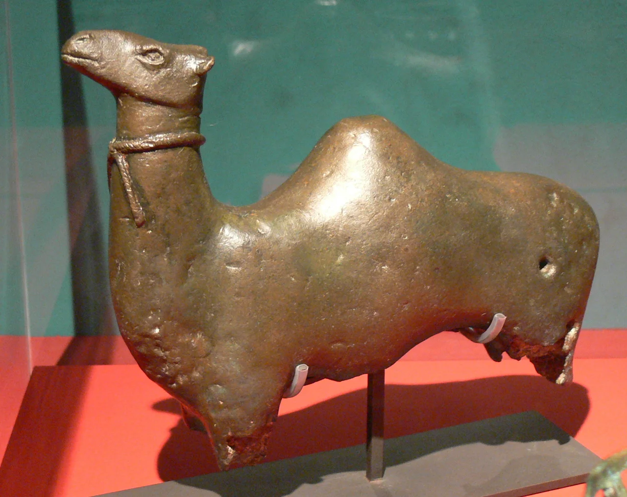 Pergamon Museum ( Berlin ). Exhibition "Roads of Arabia": Statue of a dromedary ( 2nd century BC - 2nd century AD ), Bronze, 17x21 cm, from Qaryat al-Faw ( Department of Archaeology Museum, King Saud University, Riyadh ).
